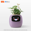 Ivy Smart Planter – AI-Powered Indoor Plant Care with Expressive Feedback