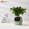Ivy Smart Planter – AI-Powered Indoor Plant Care with Expressive Feedback - Image 11