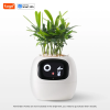 Ivy Smart Planter – AI-Powered Indoor Plant Care with Expressive Feedback - Image 10