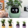 Ivy Smart Planter – AI-Powered Indoor Plant Care with Expressive Feedback - Image 2
