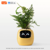 Ivy Smart Planter – AI-Powered Indoor Plant Care with Expressive Feedback - Image 8